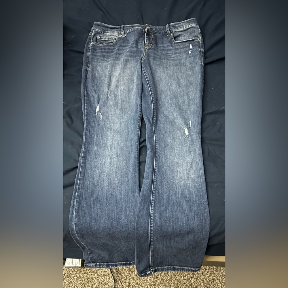 Torrid Jeans